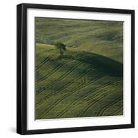 Tuscany IX-Maciej Duczynski-Framed Photographic Print