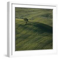 Tuscany IX-Maciej Duczynski-Framed Photographic Print