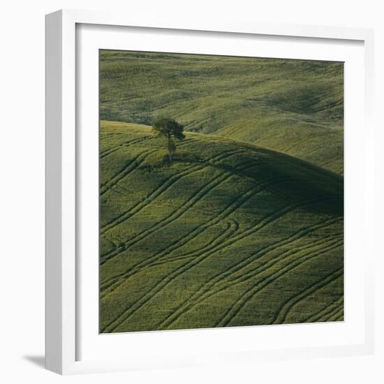 Tuscany IX-Maciej Duczynski-Framed Photographic Print