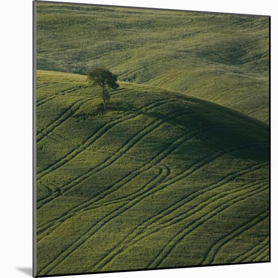 Tuscany IX-Maciej Duczynski-Mounted Photographic Print