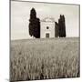 Tuscany IX-Alan Blaustein-Mounted Photographic Print