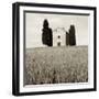 Tuscany IX-Alan Blaustein-Framed Photographic Print