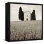 Tuscany IX-Alan Blaustein-Framed Stretched Canvas