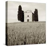 Tuscany IX-Alan Blaustein-Stretched Canvas