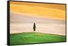 Tuscany Land-Marco Carmassi-Framed Stretched Canvas