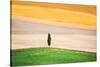 Tuscany Land-Marco Carmassi-Stretched Canvas