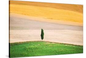 Tuscany Land-Marco Carmassi-Stretched Canvas