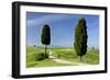 Tuscany Landscape Road Leading to a Farm With-null-Framed Photographic Print