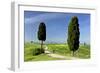 Tuscany Landscape Road Leading to a Farm With-null-Framed Photographic Print