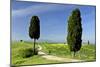 Tuscany Landscape Road Leading to a Farm With-null-Mounted Photographic Print