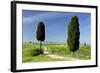 Tuscany Landscape Road Leading to a Farm With-null-Framed Photographic Print