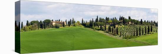 Tuscany landscape with farm, cypress and olive trees. Tuscany, Italy.-Tom Norring-Stretched Canvas