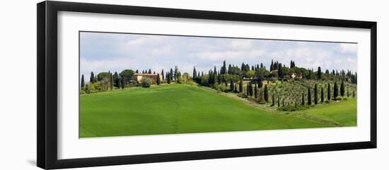 Tuscany landscape with farm, cypress and olive trees. Tuscany, Italy.-Tom Norring-Framed Photographic Print