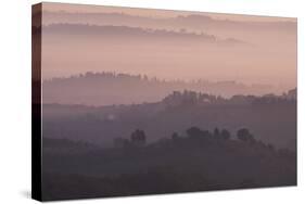Tuscany Landscape-Charles Bowman-Stretched Canvas