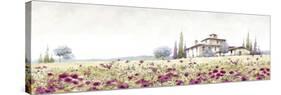 Tuscany Poppies-The Macneil Studio-Stretched Canvas