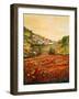 Tuscany Scene-Julie DeRice-Framed Art Print