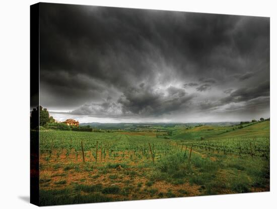 Tuscany Storm-Dale MacMillan-Stretched Canvas