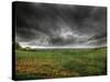 Tuscany Storm-Dale MacMillan-Stretched Canvas