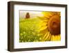 Tuscany Sunflowers-ZoomTeam-Framed Photographic Print