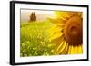 Tuscany Sunflowers-ZoomTeam-Framed Photographic Print