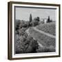 Tuscany V-Alan Blaustein-Framed Photographic Print
