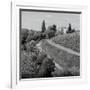 Tuscany V-Alan Blaustein-Framed Photographic Print