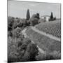 Tuscany V-Alan Blaustein-Mounted Photographic Print