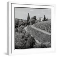 Tuscany V-Alan Blaustein-Framed Photographic Print