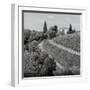Tuscany V-Alan Blaustein-Framed Photographic Print