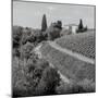 Tuscany V-Alan Blaustein-Mounted Photographic Print