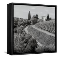 Tuscany V-Alan Blaustein-Framed Stretched Canvas