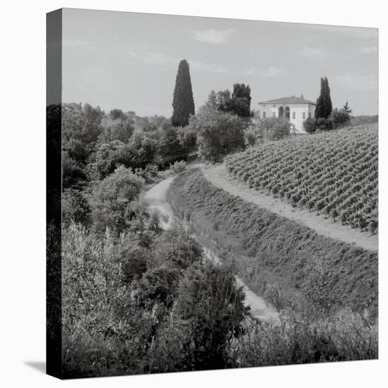 Tuscany V-Alan Blaustein-Stretched Canvas