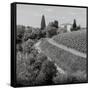 Tuscany V-Alan Blaustein-Framed Stretched Canvas