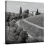 Tuscany V-Alan Blaustein-Stretched Canvas