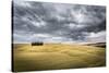 Tuscany, Val D'Orcia, Italy. Cypress Trees in a Yellow Meadow Field with Clouds Gathering-Francesco Riccardo Iacomino-Stretched Canvas