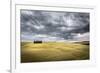 Tuscany, Val D'Orcia, Italy. Cypress Trees in a Yellow Meadow Field with Clouds Gathering-Francesco Riccardo Iacomino-Framed Photographic Print