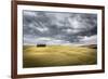 Tuscany, Val D'Orcia, Italy. Cypress Trees in a Yellow Meadow Field with Clouds Gathering-Francesco Riccardo Iacomino-Framed Photographic Print