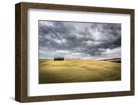 Tuscany, Val D'Orcia, Italy. Cypress Trees in a Yellow Meadow Field with Clouds Gathering-Francesco Riccardo Iacomino-Framed Photographic Print