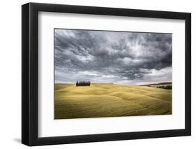 Tuscany, Val D'Orcia, Italy. Cypress Trees in a Yellow Meadow Field with Clouds Gathering-Francesco Riccardo Iacomino-Framed Photographic Print