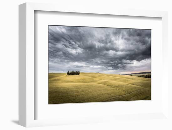 Tuscany, Val D'Orcia, Italy. Cypress Trees in a Yellow Meadow Field with Clouds Gathering-Francesco Riccardo Iacomino-Framed Photographic Print