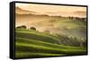 Tuscany, Val d'Orcia. Italy-Francesco Riccardo Iacomino-Framed Stretched Canvas