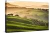 Tuscany, Val d'Orcia. Italy-Francesco Riccardo Iacomino-Stretched Canvas