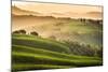 Tuscany, Val d'Orcia. Italy-Francesco Riccardo Iacomino-Mounted Photographic Print