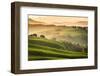 Tuscany, Val d'Orcia. Italy-Francesco Riccardo Iacomino-Framed Photographic Print