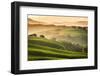 Tuscany, Val d'Orcia. Italy-Francesco Riccardo Iacomino-Framed Photographic Print