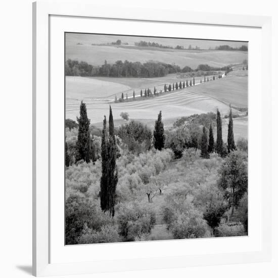 Tuscany VI-Alan Blaustein-Framed Photographic Print