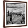 Tuscany VI-Alan Blaustein-Framed Photographic Print