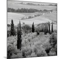 Tuscany VI-Alan Blaustein-Mounted Photographic Print