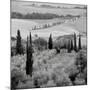 Tuscany VI-Alan Blaustein-Mounted Photographic Print