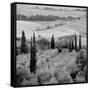 Tuscany VI-Alan Blaustein-Framed Stretched Canvas